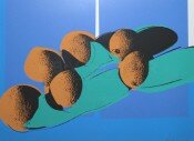 Cantaloupes I (FS II.201), from the Portfolio “Space Fruit: Still Lifes” 