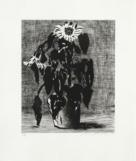 Sunflower I von David Hockney