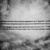 Birds, USA, California, Tulare