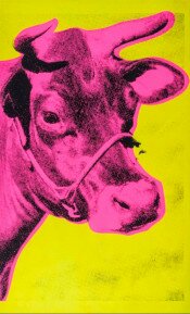 Cow (FS II.11)