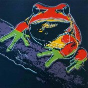 Endangered Species: Pine Barrens Tree Frog (FS II.294)