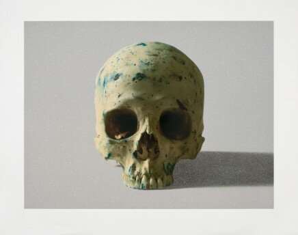 Studio Half Skull, face on von Damien Hirst