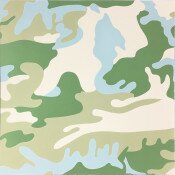 Camouflage (FS II. 407)