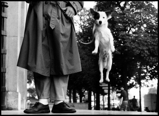 Elliott Erwitt, Paris, France, 1989