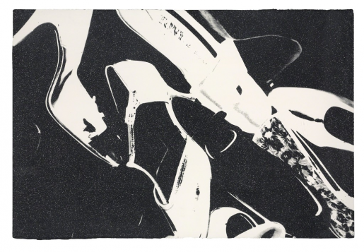 Andy Warhol, Shoes (FS II.255), 1980