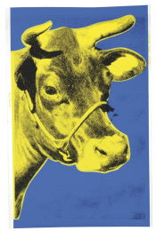 Cow (FS II.12)