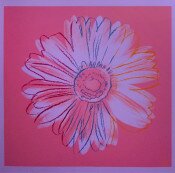 Daisy (Single)