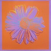 Daisy (FS IIIA.38)