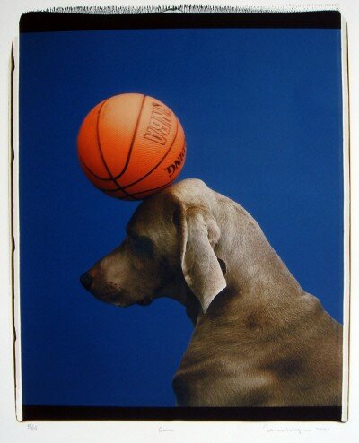 Game von William Wegman
