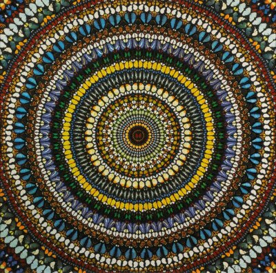 Covenant von Damien Hirst
