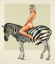 Zebra