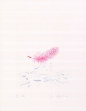 Plume